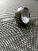 Fox S. review photo