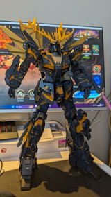 Caolan review photo