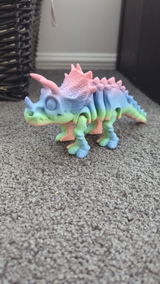 Marcel review photo