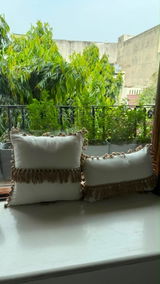 Janvi review photo