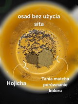 Agnieszka review photo