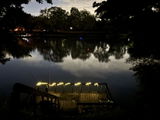 Catfish_Bill review photo
