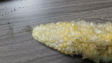 賢治 新井 review photo