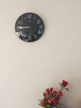 Manoj P. review photo