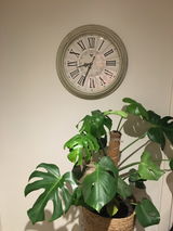 Barbora K. review photo