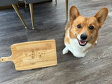 Lizzy and Tucker the Corgis review photo