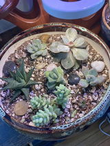 Laura Gonzalez review photo