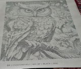Evelyne M. review photo