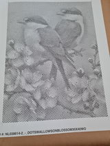 Anoniem review photo