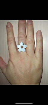 Raluca Y. review photo