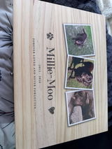 Ellie review photo