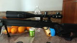 giuseppe c. review photo