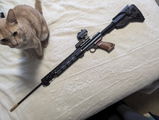 Craig S. review photo