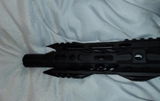 Walt B. review photo