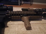 Shane P. review photo