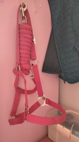 Karine B. review photo