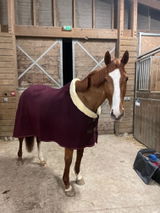 Camille C. review photo