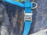 Louann M. review photo