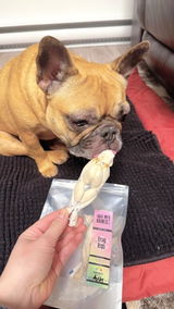 Miss_lya_frenchie review photo