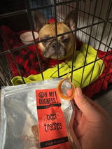 Miss_lya_frenchie review photo