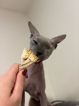 Olivia review photo
