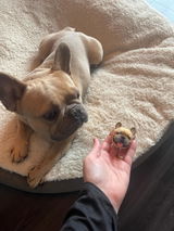 Etsy customer review photo