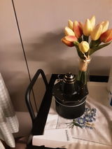 Empty Haven review photo