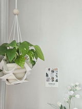 Rumi's Haven review photo