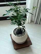eunga11 review photo