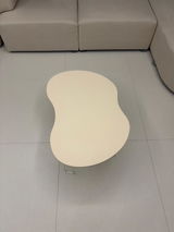 ricahome review photo