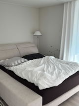 adagiohome review photo
