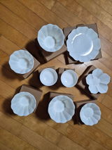 sharpheels review photo