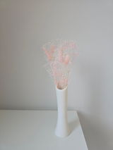 cottoncandy review photo