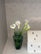 emma2 review photo
