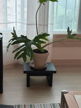 gyeongirung2 review photo