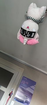 Simplement Nico review photo