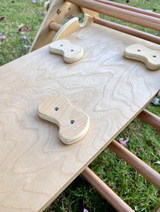 Olha review photo