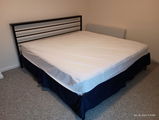 Halibob review photo
