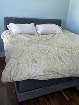 Trish Blanchard review photo