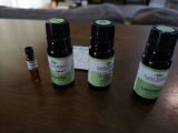 tananne review photo