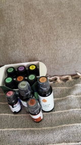 chongheekho review photo