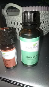 s*****7 review photo
