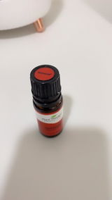 sueidea.co review photo