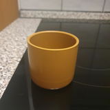 s** k** review photo