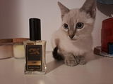 Nuria review photo