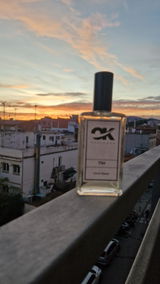 Davinia review photo
