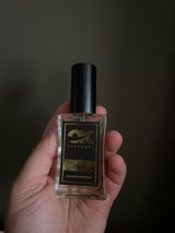 João T. review photo