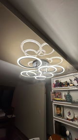 Feliperome review photo