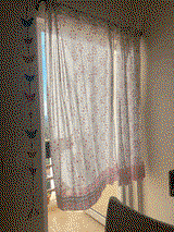 Ruchi Bhimani review photo