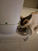 Val review photo